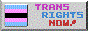 Trans Rights Now!
